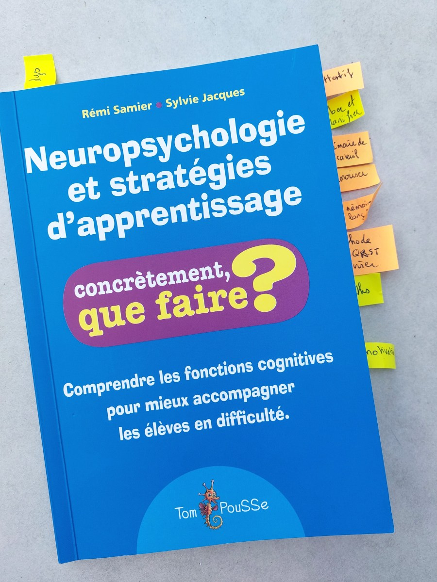 Neuropsychologie et stratégies d&rsquo;apprentissage